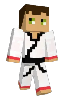 tortelloni Minecraft avatar full body