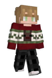 tortilein Minecraft avatar full body