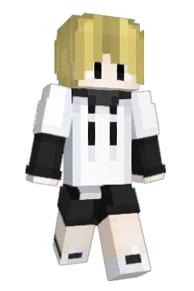 tortonx Minecraft avatar full body