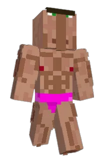 tortstag Minecraft avatar full body