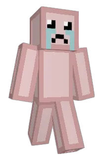 totorletaureau Minecraft avatar full body