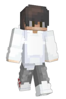 tourrr Minecraft avatar full body