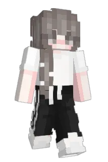 toushey Minecraft avatar full body