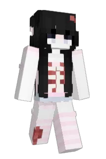 touua Minecraft avatar full body