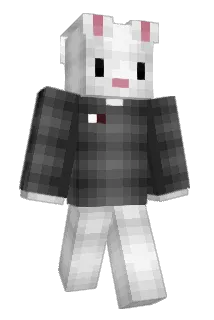 toweldog Minecraft avatar full body