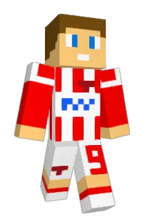 toxicnemi Minecraft avatar full body