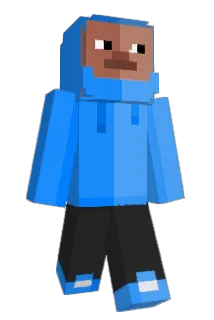 tozty Minecraft avatar full body