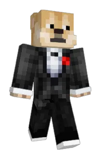 tpatrickfitt Minecraft avatar full body
