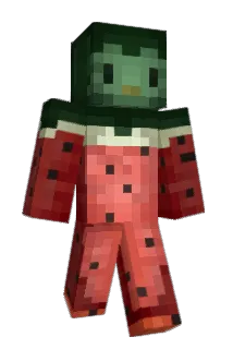 tplo Minecraft avatar full body