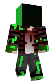 tq1ng Minecraft avatar full body