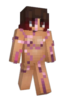 track10 Minecraft avatar full body