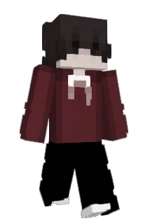 tracksuitz Minecraft avatar full body