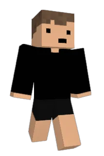 traficoporamor Minecraft avatar full body
