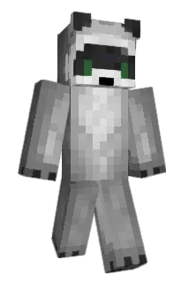trashpants Minecraft avatar full body