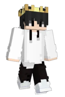 treacer Minecraft avatar full body