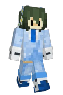 treehousecity Minecraft avatar full body
