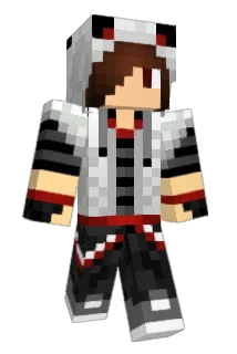 tregkamp123 Minecraft avatar full body