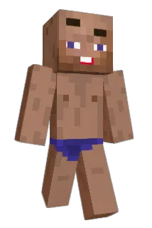 trenerpersonalny Minecraft avatar full body