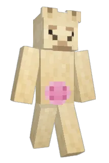 trentonbones Minecraft avatar full body