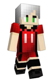 trickymcgee Minecraft avatar full body