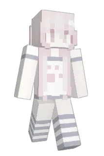 trintwin Minecraft avatar full body