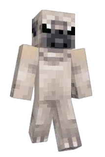 trivium1998 Minecraft avatar full body