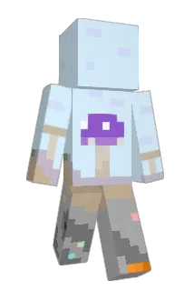 trksnauj Minecraft avatar full body