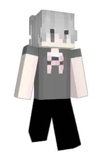 trocy Minecraft avatar full body