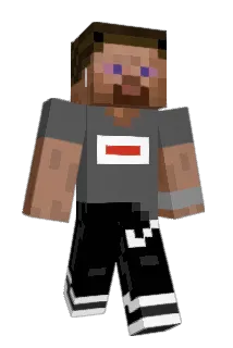 trollreddit Minecraft avatar full body