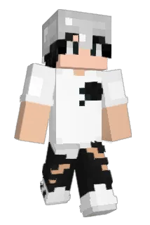 trombadinho Minecraft avatar full body