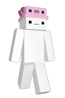 trvs21 Minecraft avatar full body