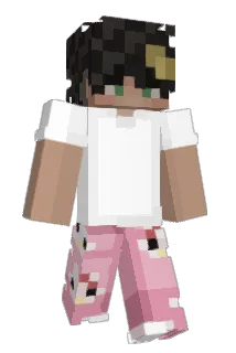 tryaggain Minecraft avatar full body