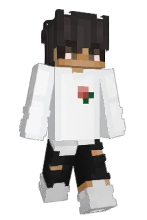 tsc4 Minecraft avatar full body
