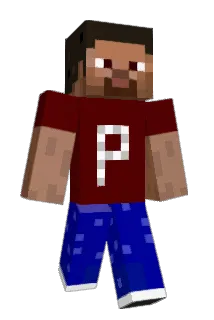 tschilkroete Minecraft avatar full body
