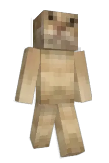 tsty314 Minecraft avatar full body
