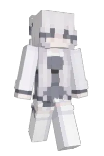 ttkwe Minecraft avatar full body