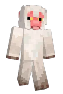 ttoams Minecraft avatar full body