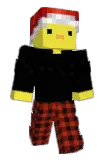 ttv_thijsco2148 Minecraft avatar full body