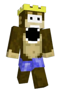 tty13 Minecraft avatar full body