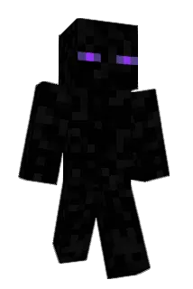 tty8 Minecraft avatar full body