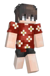 tu5k Minecraft avatar full body