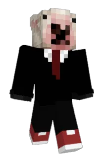 tudiostom Minecraft avatar full body