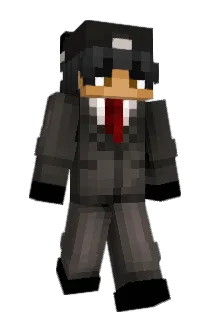 tulplex Minecraft avatar full body