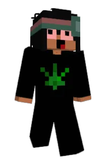 tunebat Minecraft avatar full body