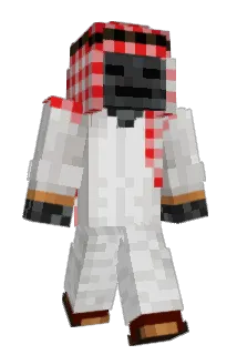 tupupupu Minecraft avatar full body