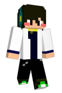 turtle123 Minecraft avatar full body