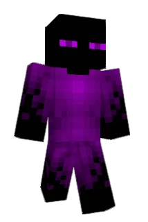 turtle2902 Minecraft avatar full body