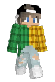 turtle88888aa Minecraft avatar full body