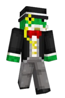 turtle_17 Minecraft avatar full body