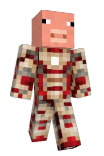 turtle_dude1 Minecraft avatar full body